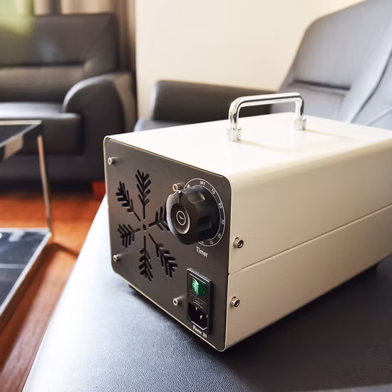 Mini générateur d'ozone OEM, nettoyeur Portable, stérilisation, purificateur d'air, stérilisateur alimentaire pour la maison